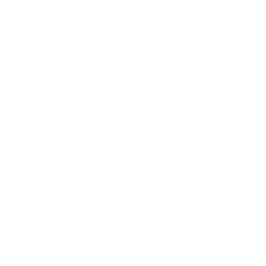 colored logo